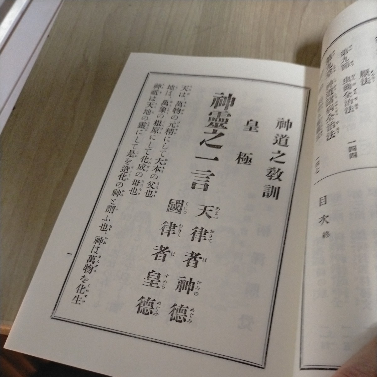 八幡書店 神理療養強健術 柄澤照覚 仙術諸病全治法△古本/経年劣化によるヤケスレ有/民間療法/長寿術/東洋医学/治病_画像9