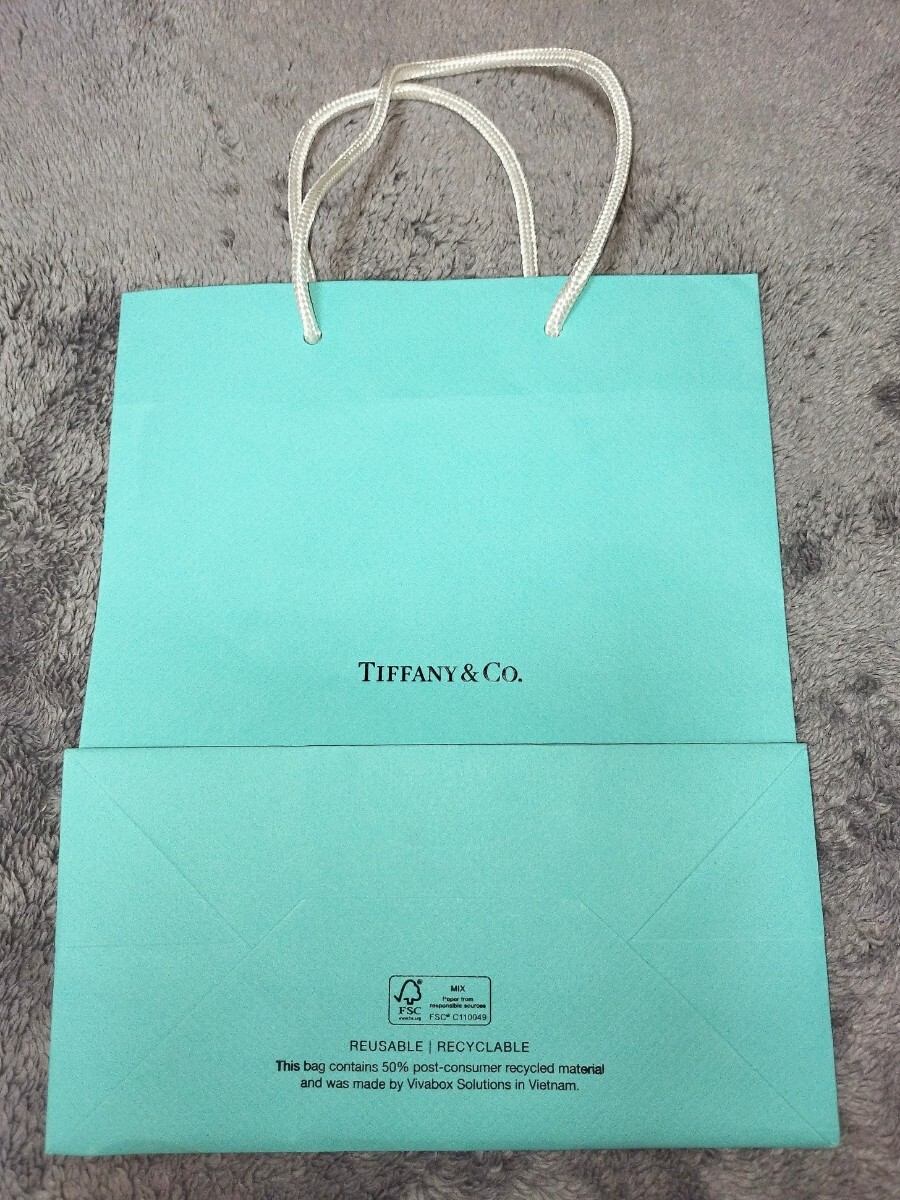 ティファニー　Tiffany & Co.　ショッパー　紙袋　24.8cm×20.3㎝×10cm_画像2