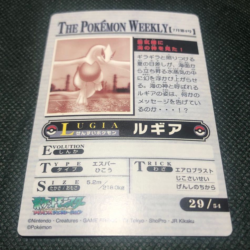 蜃気楼に海の神を見た THE POKEMON WEEKLY ポケモン
