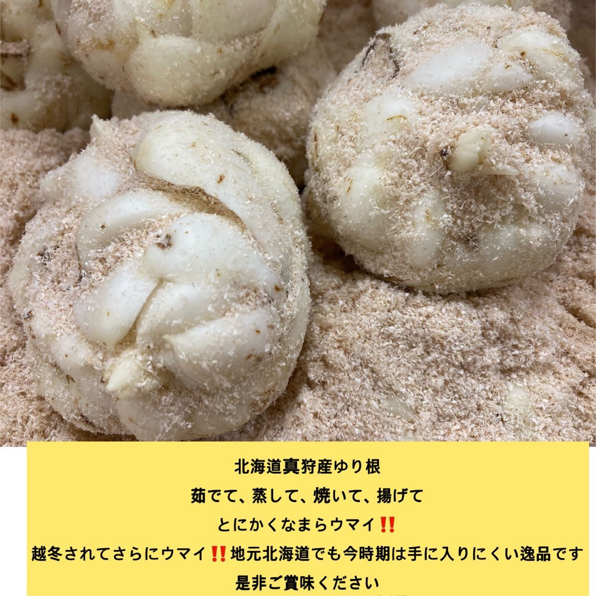 北海道2024年　期間限定販売【真狩産ゆり根〔カキユリ〕100g×2袋＆幕別産インカのめざめM玉〔中小〕約500g】ポスト投函発送