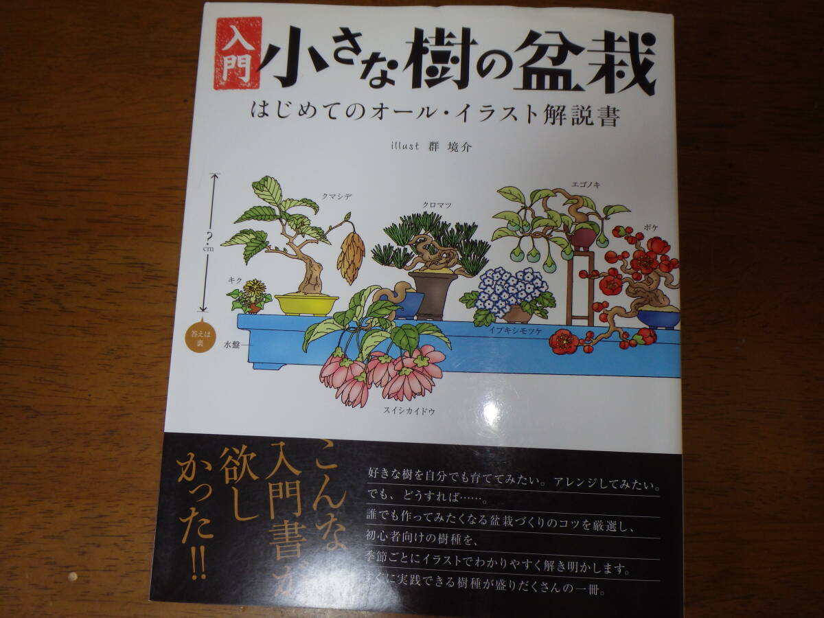 入門 小さな樹の盆栽 はじめてのオール・イラスト解説書 定価１８５２円の画像1