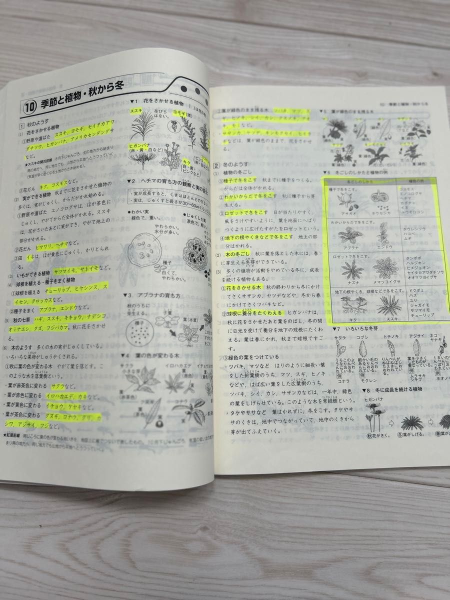 小学問題集　中学入試編  理科 ステージ1 2 塾専用  小学算数　応用問題の解き方　3冊セット　中学受験