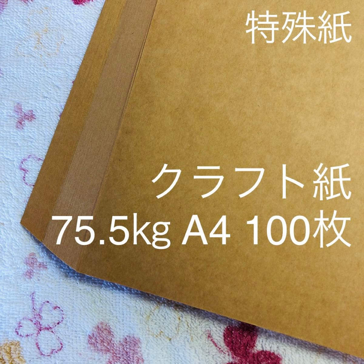 特殊紙　クラフト紙　A4　75.5キロ　100枚