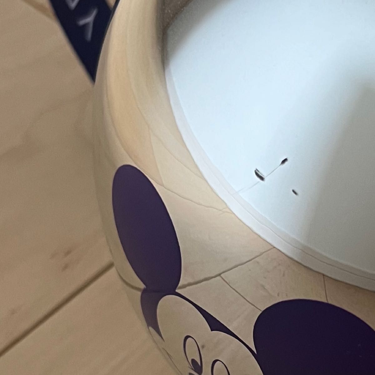 ディズニー Disney 海外パーク ポップコーンバケット 100周年 ディズニー Disney 海外パーク ポップコーンバケット 100周年