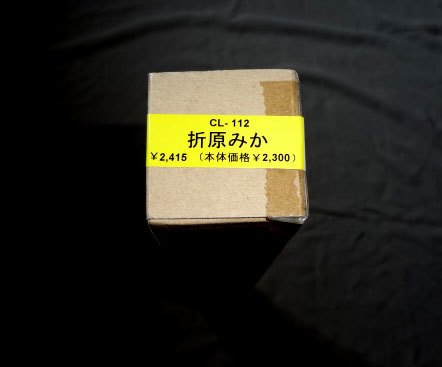 ♪即決♪送料無料♪2010年 折原みかのカレンダー B2サイズ　8枚綴り　新品未開封保存品_画像1