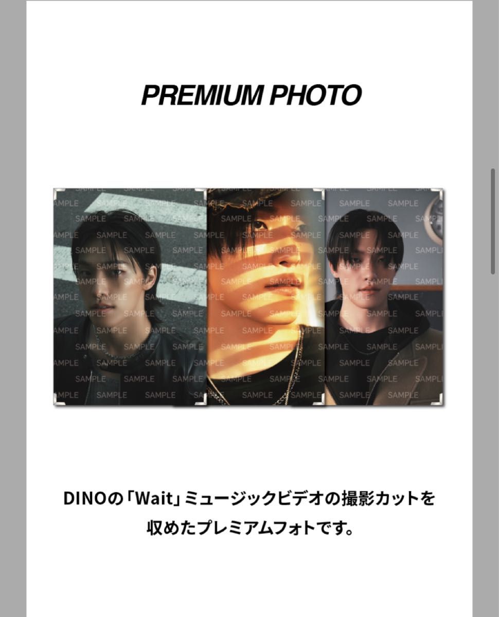 SEVENTEEN DINO wait PREMIUM PHOTO 01