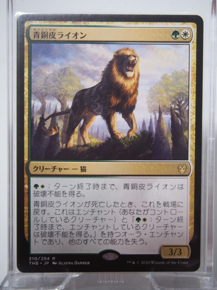 8649/青銅皮ライオン/Bronzehide Lion/テーロス還魂記【通常版】/【日本語】_画像1