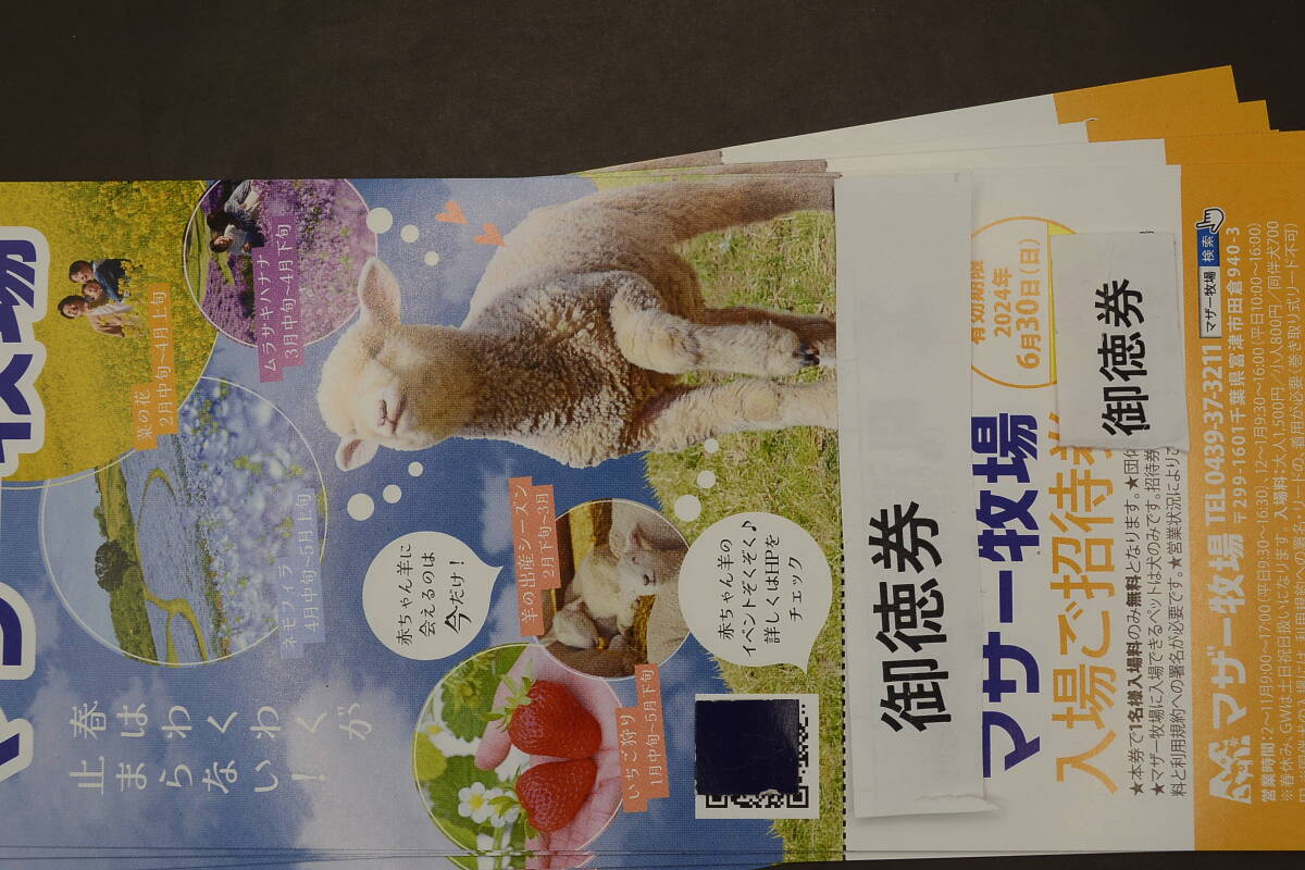 マザー牧場　入園招待券　１枚350円　10枚セット3500円　期限２０２４年6月３0日まで　送料無料_画像3