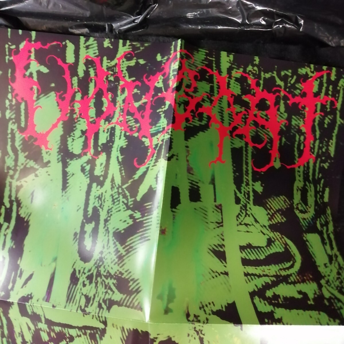 D03 中古LP 中古レコード VON GOAT septic illumination US盤 ANTI-GOTH 157　クリアグリーンビニール ポスター,ステッカー,ワッペン付き_画像8