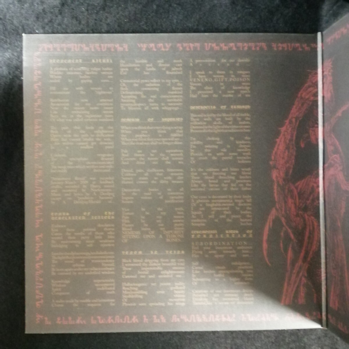 D03 中古LP 中古レコード EMBRACE OF THORNS atonement ritual US盤 ANTI-GOTH 121 クリアレッドビニール ポスター,ステッカー,ワッペン付_画像3