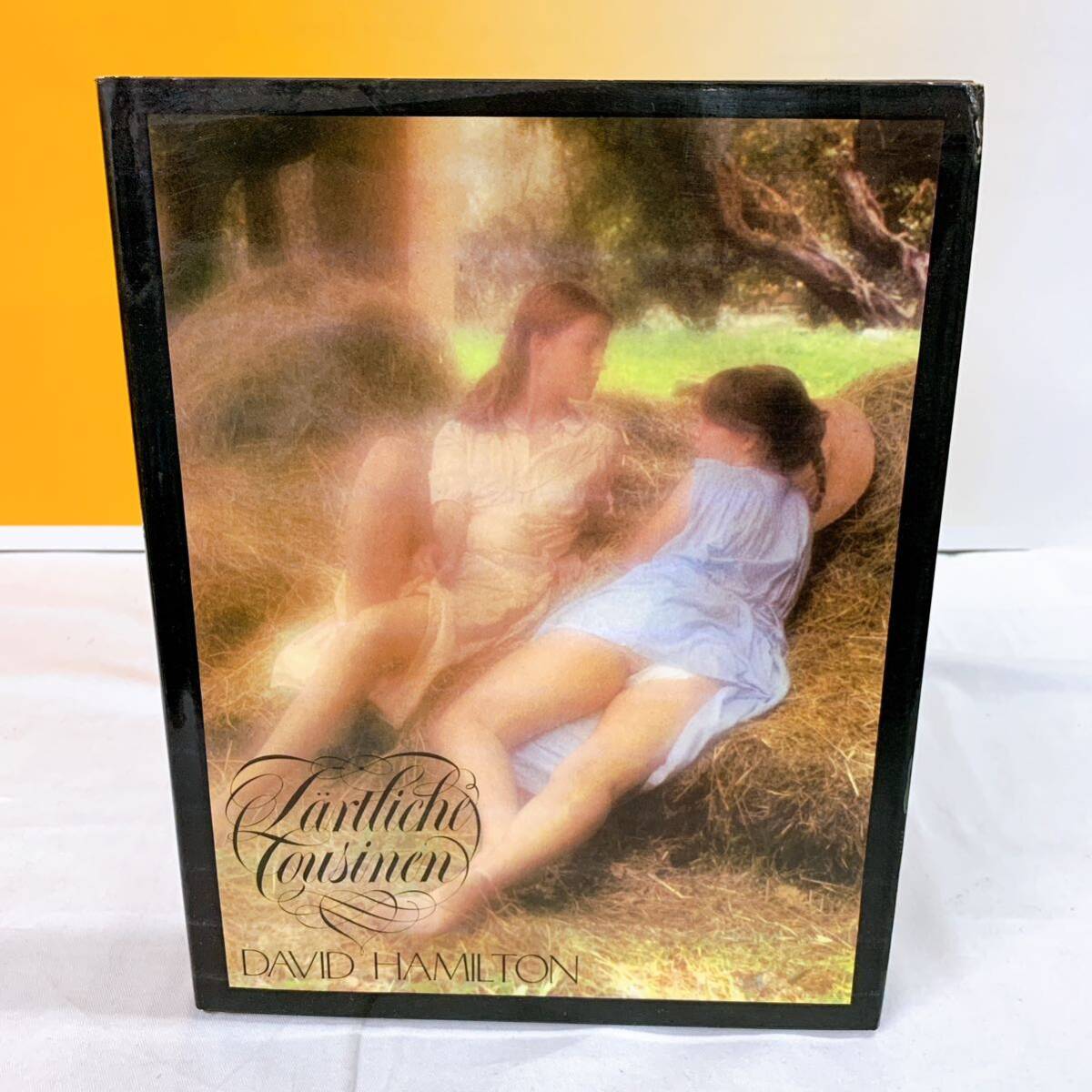 Q6-W3/14 DAVID HAMILTON David * Hamilton ZARTLICHE COUSINEN foreign book 1981 year 