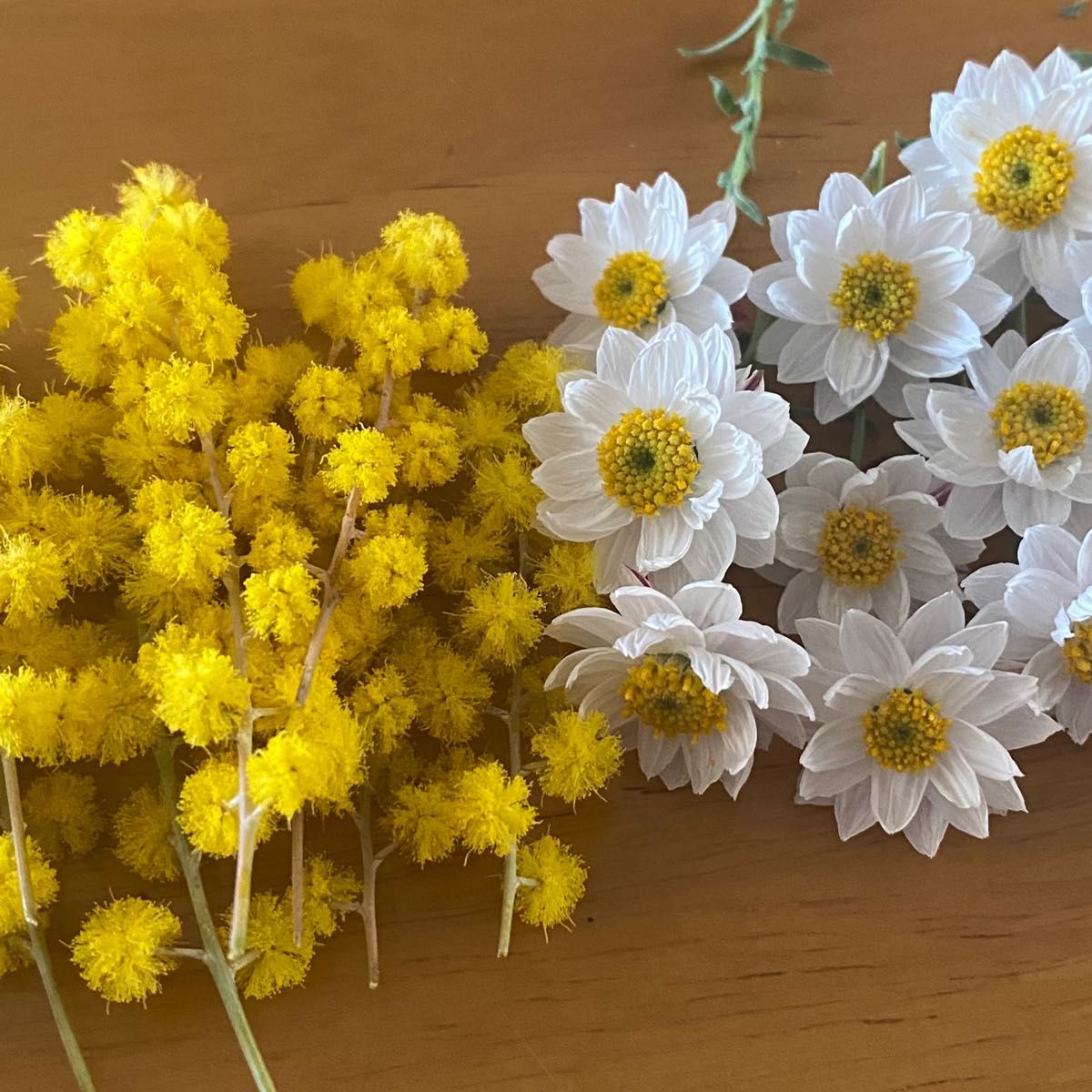 ミモザと花かんざし ドライフラワー花材セット