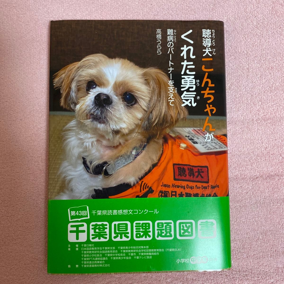 聴導犬こんちゃんがくれた勇気　難病のパートナーを支えて 高橋うらら／著