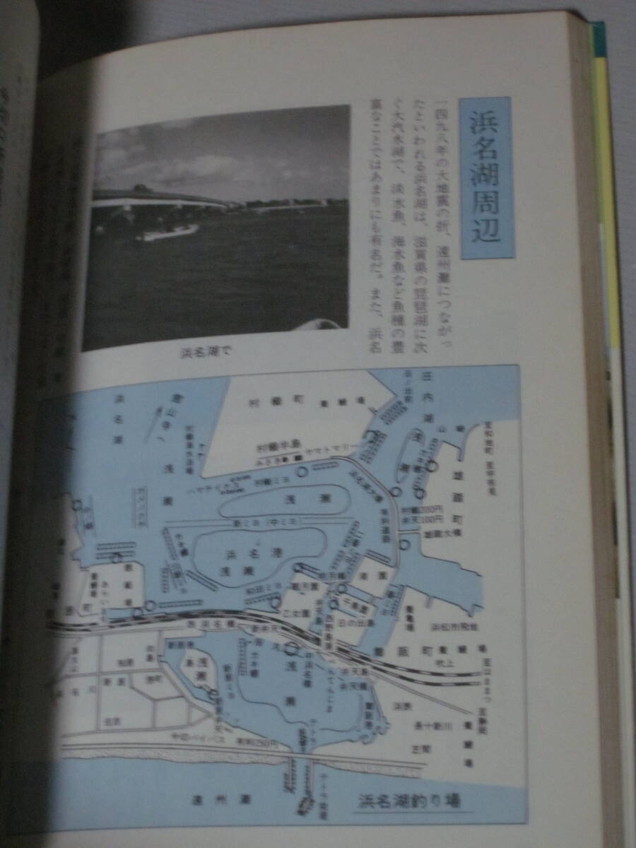 【東海のクロダイ釣り場100選】清水港～若狭～伊勢志摩まで★釣り場ポイント・地図・エサ・仕掛け　秘訣公開！★東海釣りガイド／嶋橋照久_画像5