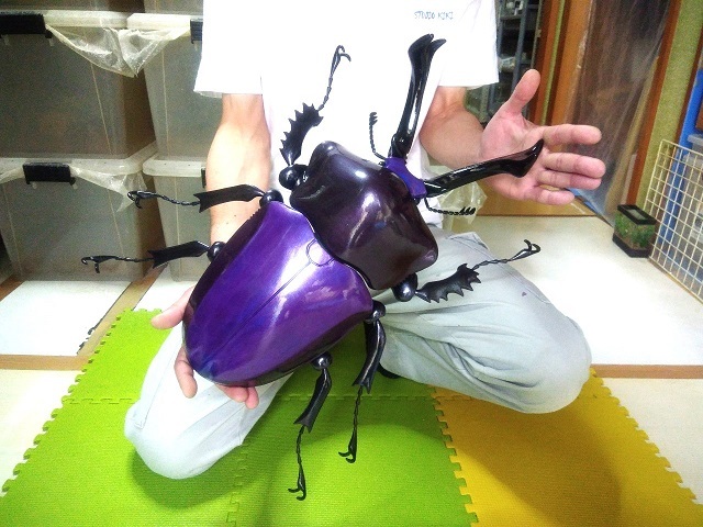 超大型 ニジイロクワガタ MEGA フィギュア