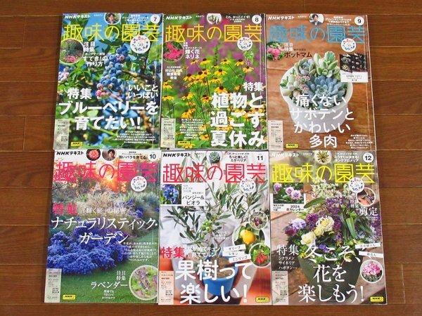 NHKテキスト 趣味の園芸 2023年 1年分 12冊 OB29の画像2