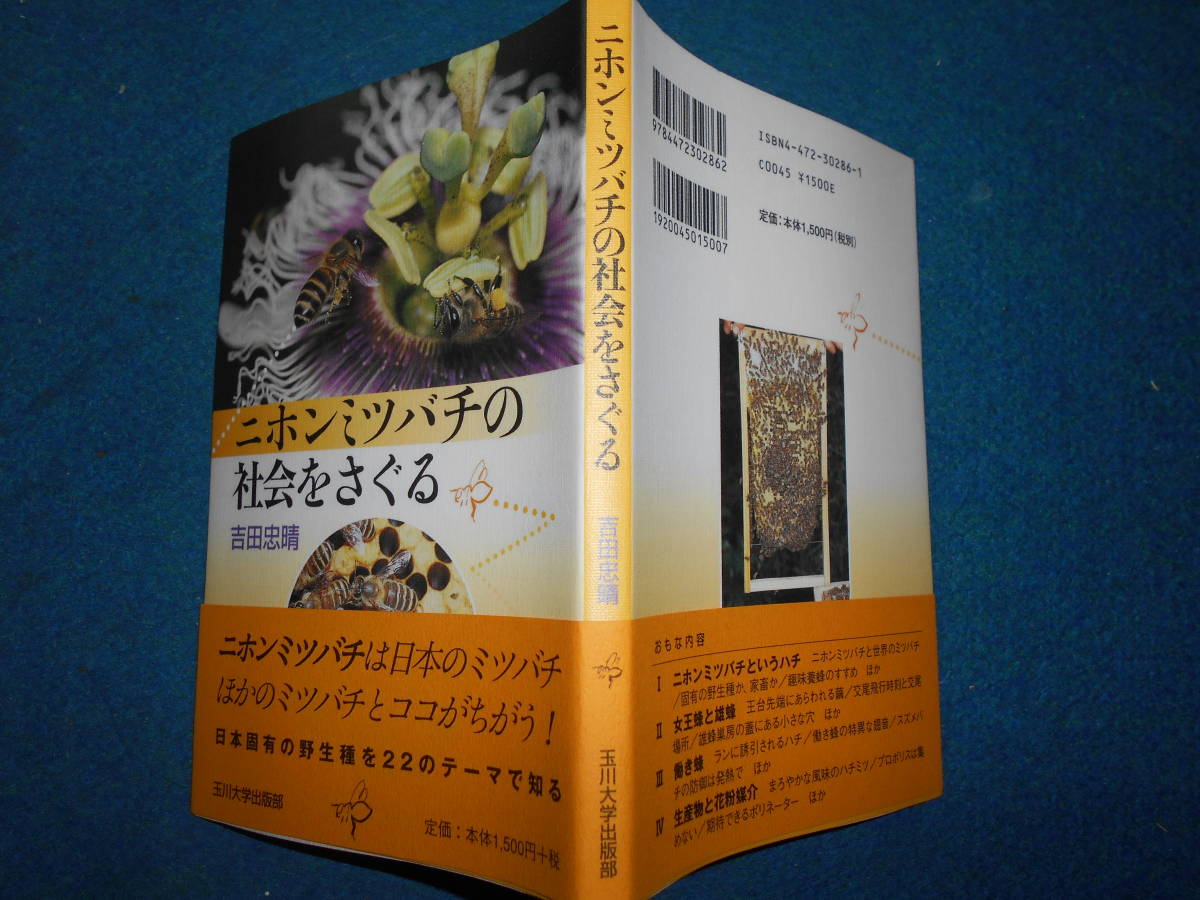  быстрое решение 2005 год первая версия [ Japan Mitsuba chi. общество ....] насекомое .,Social Incect Ants Wasps Bees - na пчела сырой . минут ткань классификация разведение закон 