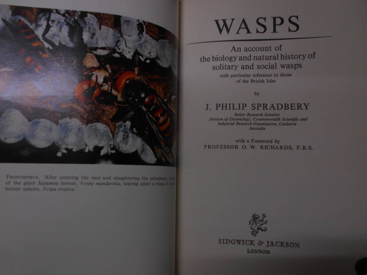 即決 昆虫学、Incect 1973年『WASPS スズメバチ』ハチ目、膜翅目 即決 昆虫学、Incect 1973年『WASPS スズメバチ』ハチ目、膜翅目