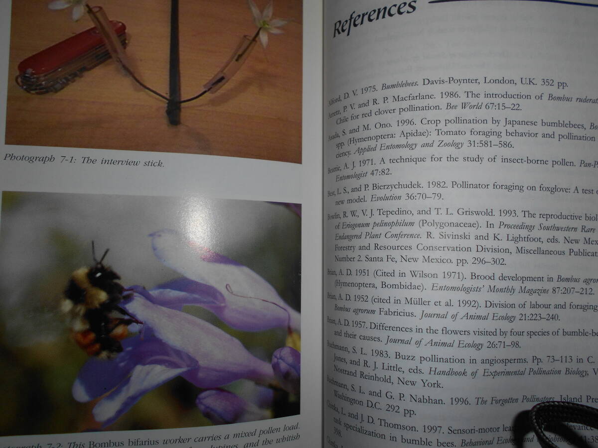 即決　2001年『マルハナバチ　Bumblebees』昆虫学、Incectハチ目、膜翅目、生態Social bees ミツバチ　ハナバチ　スズメバチ、アシナガバチ