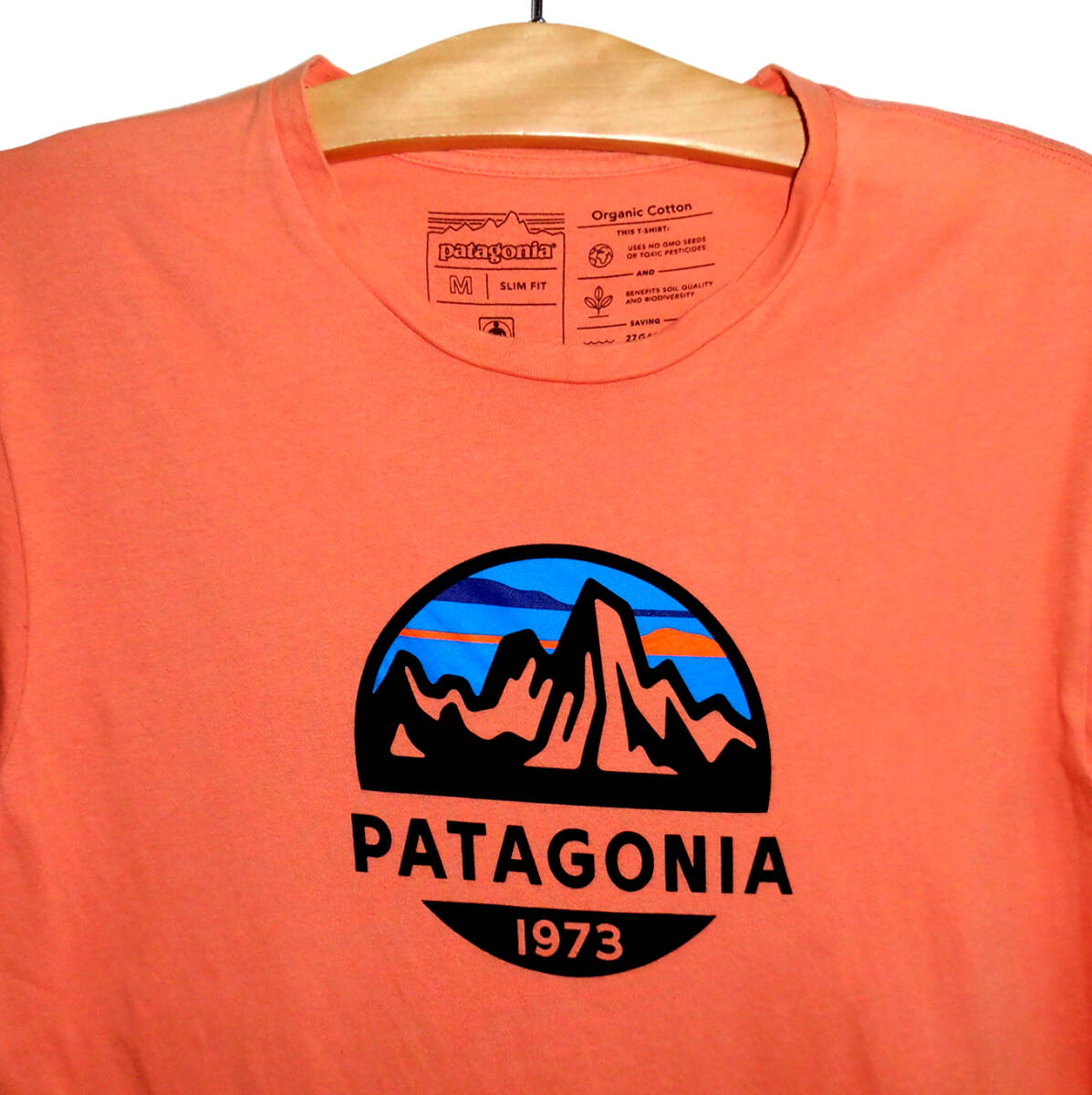 Patagonia パタゴニア Fitz Roy Scope Organic T-Shirt 39144 フィッツロイスコープ オーガニックコットン Tシャツ Mサイズ