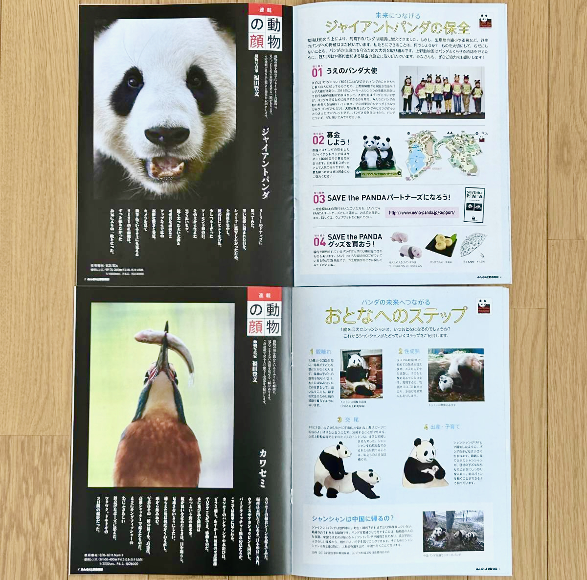 ☆ 上野動物園☆みんなの上野動物園（シャンシャン表紙4冊セット） ☆ ／ Vol.63・65・72・75・ジャイアントパンダ・リーリー・シンシン_画像5