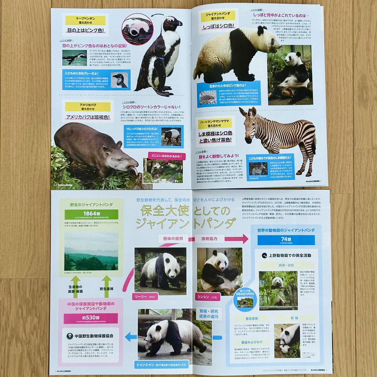 ☆ 上野動物園☆みんなの上野動物園（シャンシャン表紙4冊セット） ☆ ／ Vol.63・65・72・75・ジャイアントパンダ・リーリー・シンシン_画像7