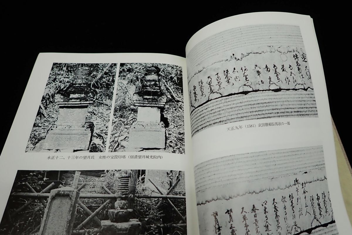 ◆書籍680 望月氏の歴史と誇り 金井重道 望月政治 昭和44年◆日本出版貿易株式会社/消費税0円_画像5