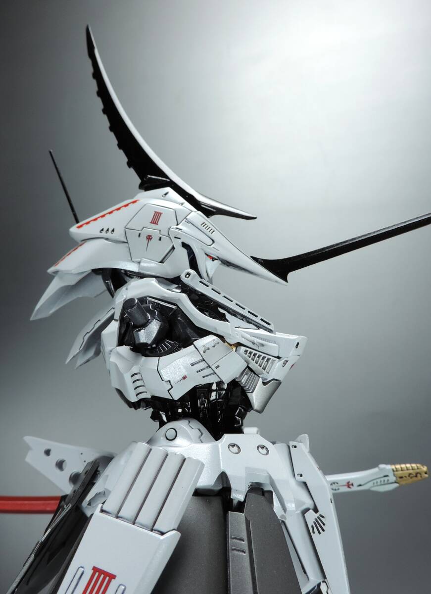 IMS レッドミラージュ WAVE フレイムランチャー装備 塗装済み完成品 FSS ボークス 1/100の画像8