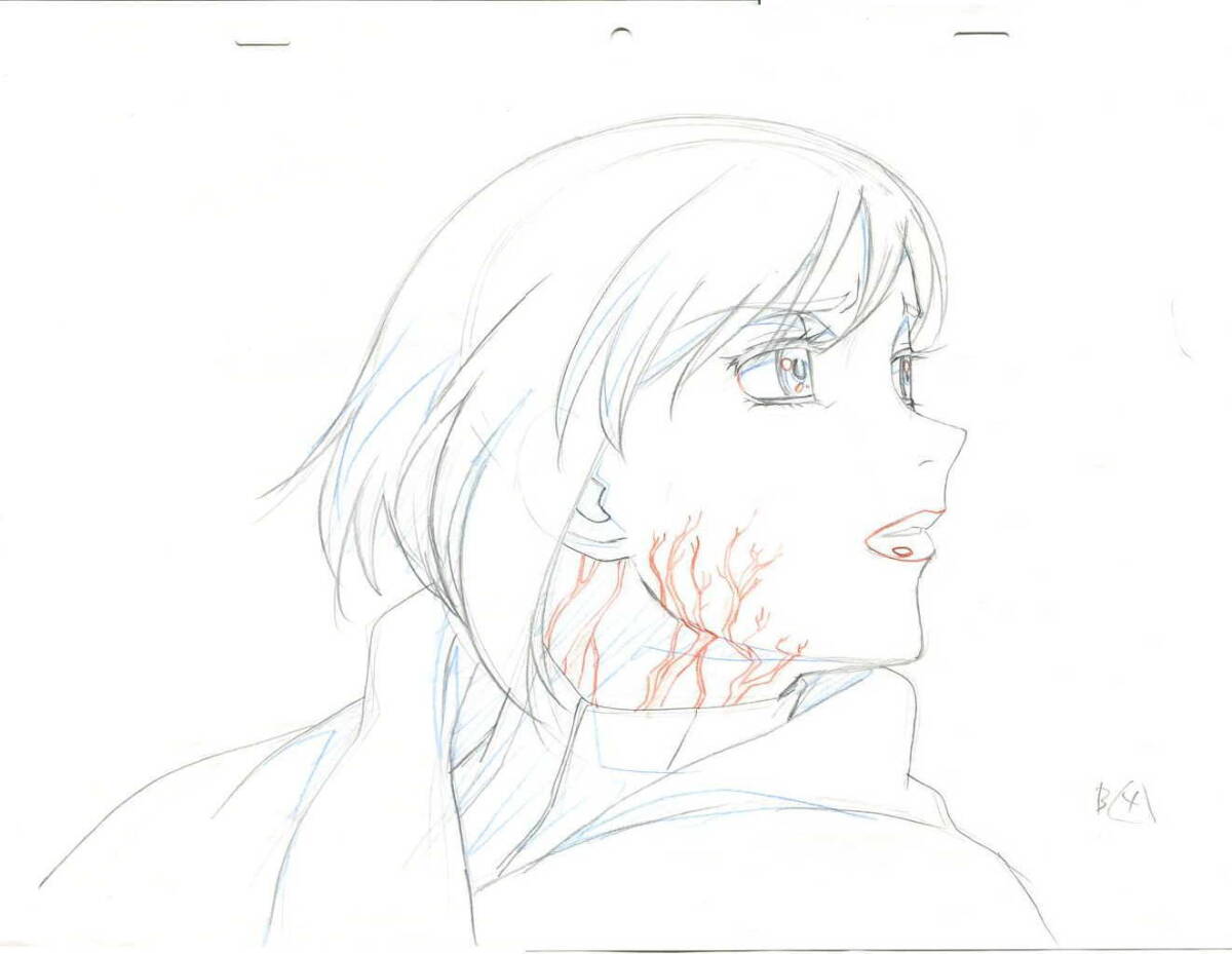 wolf's rain （８） 原画セット 大判の画像1