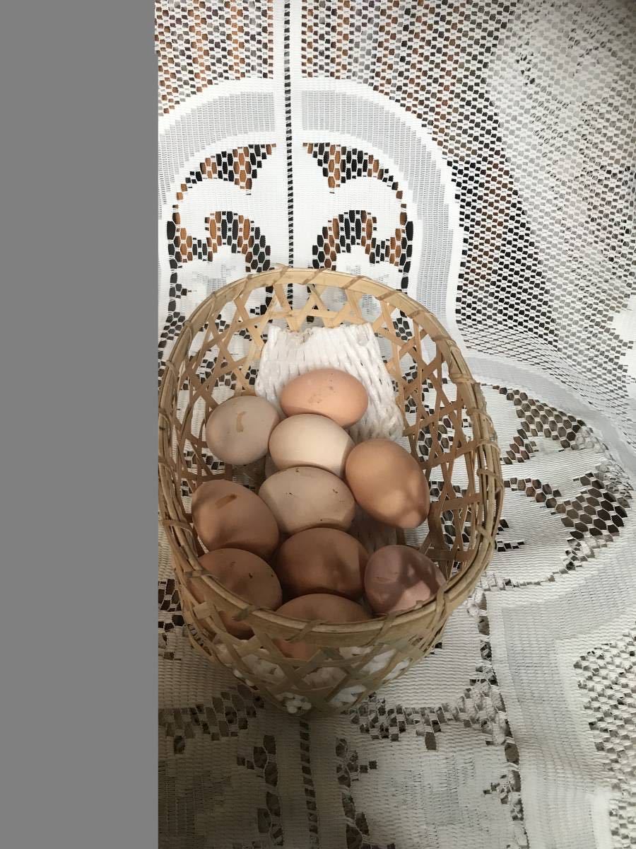 ニワトリの卵  食用  有精卵 １０個  ニワトリ   鶏 家畜 平飼い （食用の画像2