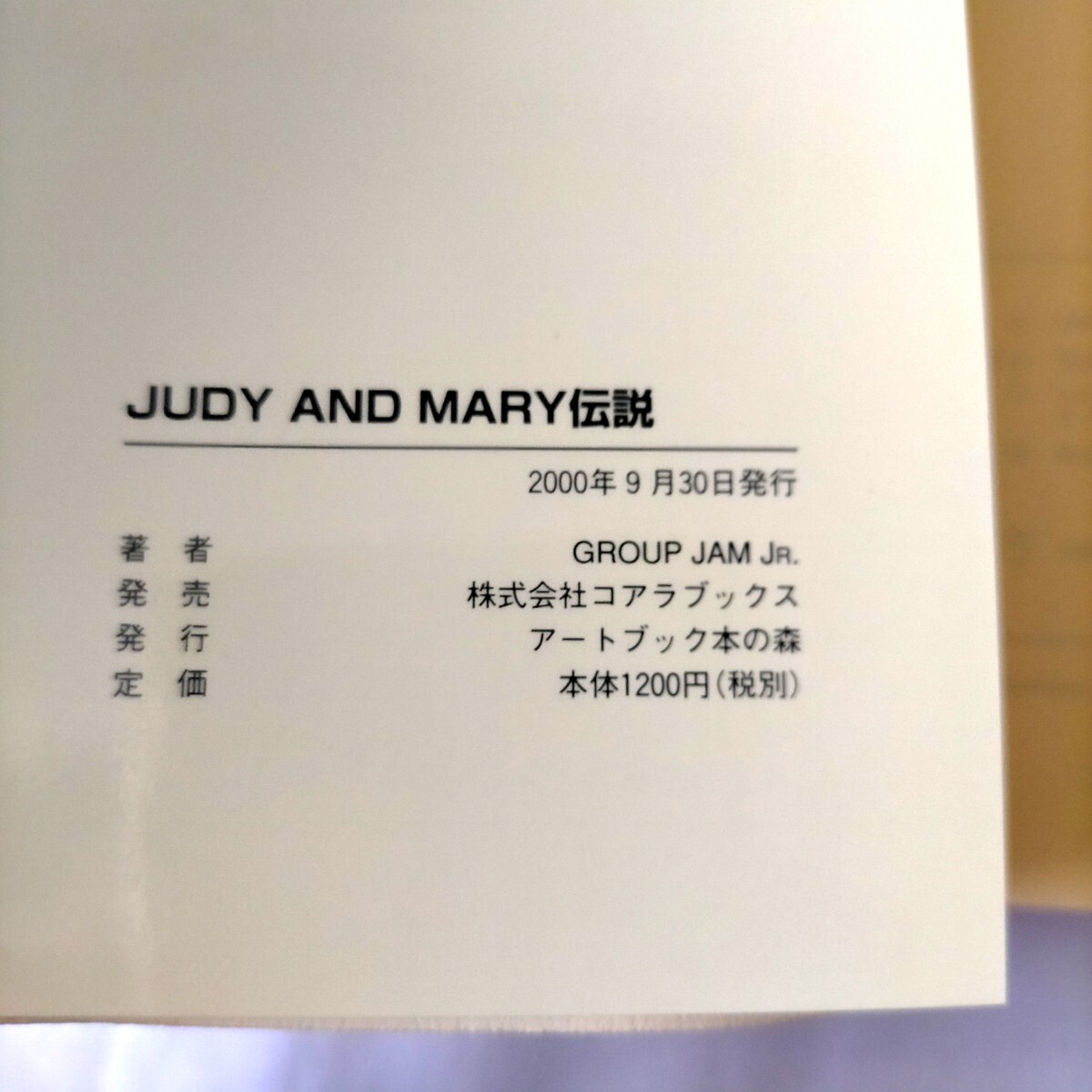 初版 JUDY AND MARY伝説 We LOVE（アーチスト解体新書)Group JAM Jr./著 コアラブックス ジュディアンドマリー ジュディマリ YUKI マガジンの画像9