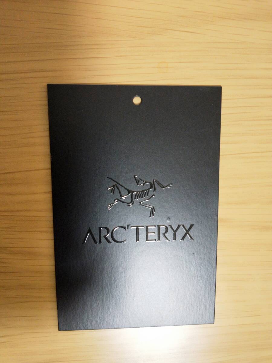 ARC'TERYX アークテリクス　アトム ヘビーウェイト フーディ メンズ_画像5