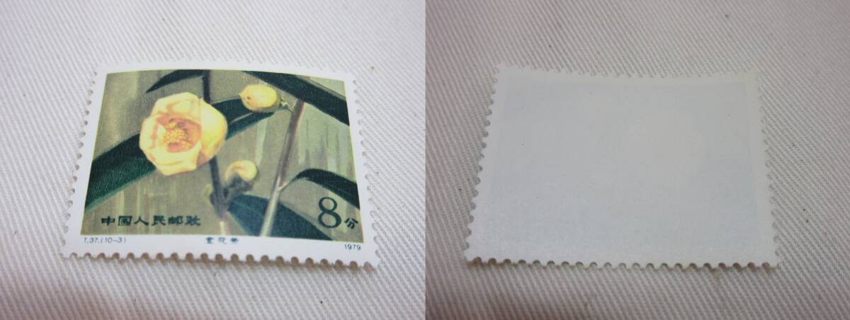 中国切手 / T37 雲南のツバキ 1979 10種完 未使用_画像4