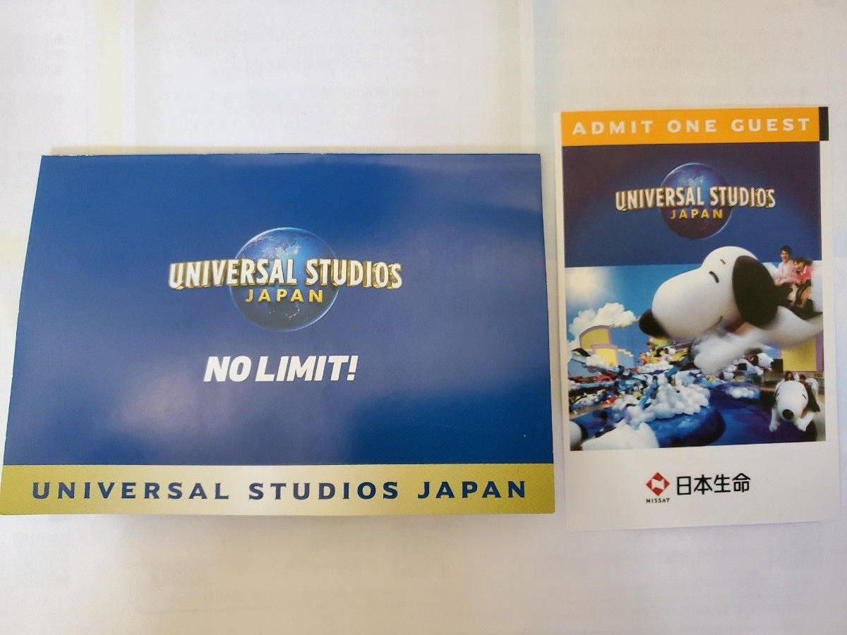 【未使用】ユニバーサル・スタジオ・ジャパン　USJ チケット 大人 1枚