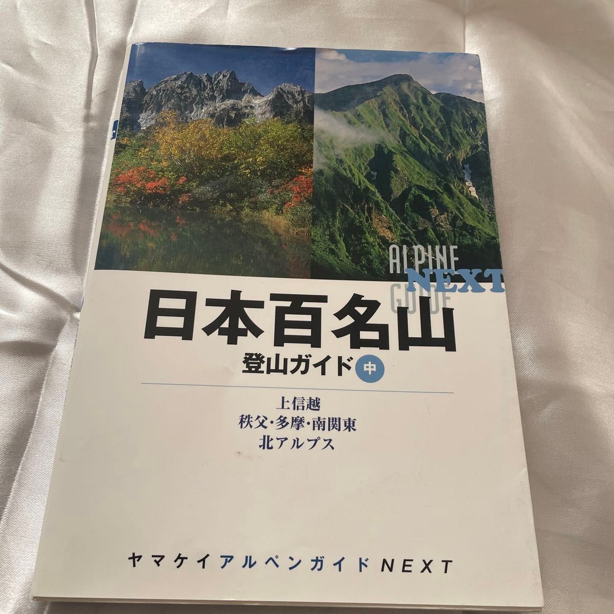 日本百名山登山ガイド中 (ヤマケイアルペンガイドNEXT)