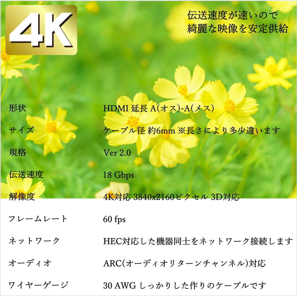 □【2本セット】ハイスピードVer2.0 30cm HDMI延長ケーブル (オス/メス) 4KフルHD 3D ネットワーク対応 2HDMI-03Ex2