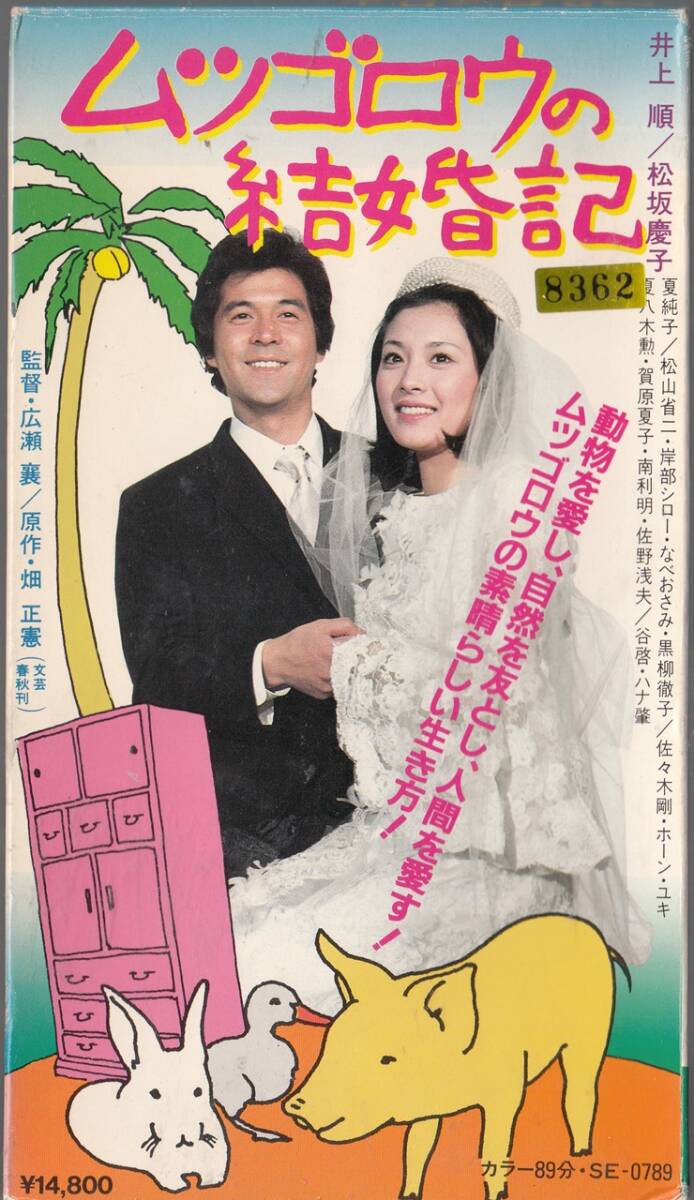 ムツゴロウの結婚記(1974)■ＶＨＳ/井上順/松坂慶子/夏純子/ホーン・ユキ/松山省二/監督/広瀬襄_画像1