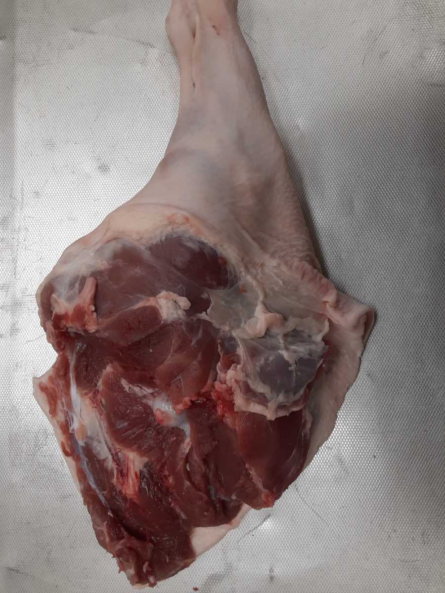 猪肉　モモ肉　　皮付き　骨付き　1078g ジビエ　A イノシシ_画像2