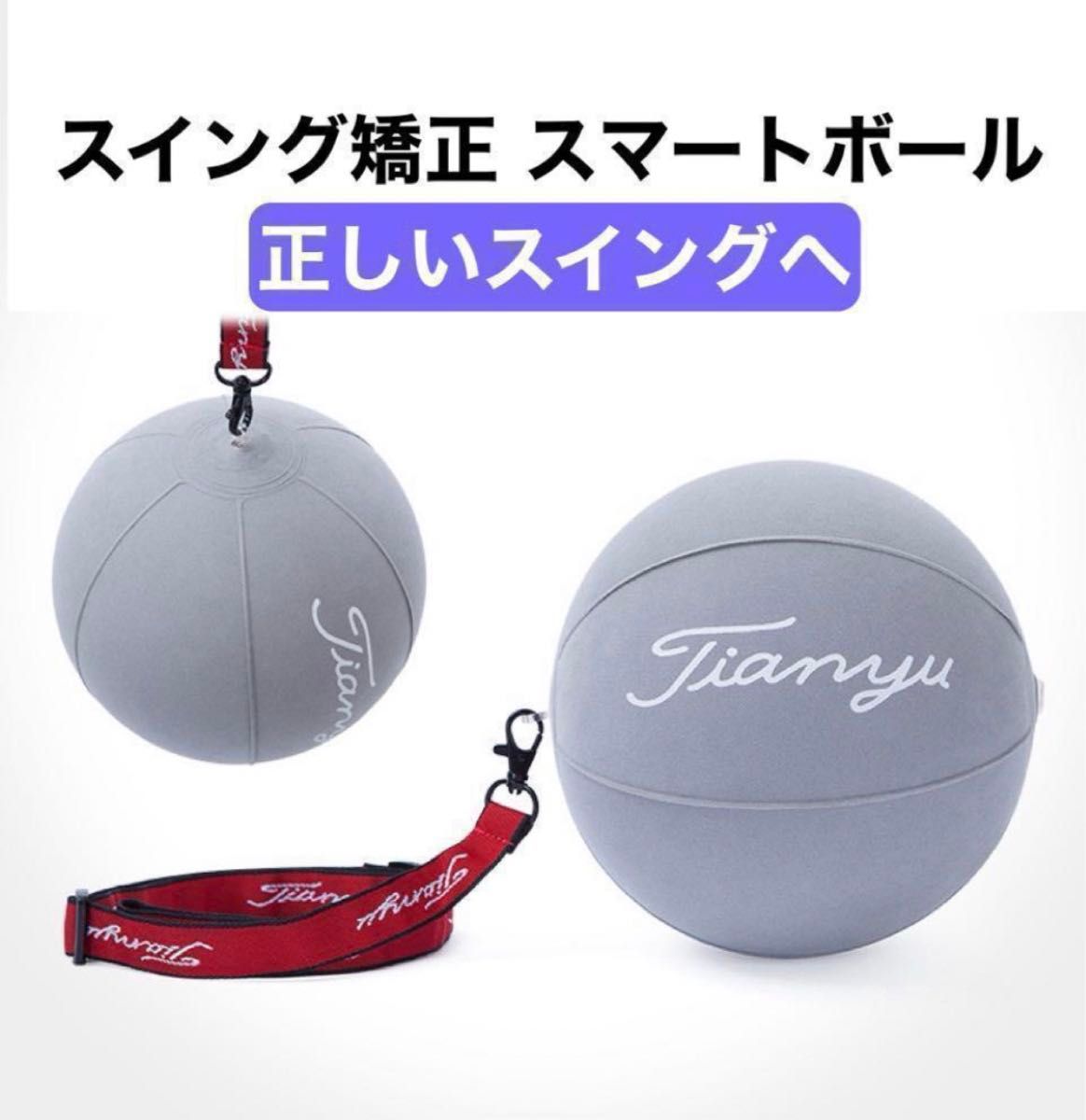 ゴルフ練習器具 トレーニングボール ゴルフ スイング 矯正 ボール トレーニング エアポンプ付き グレー