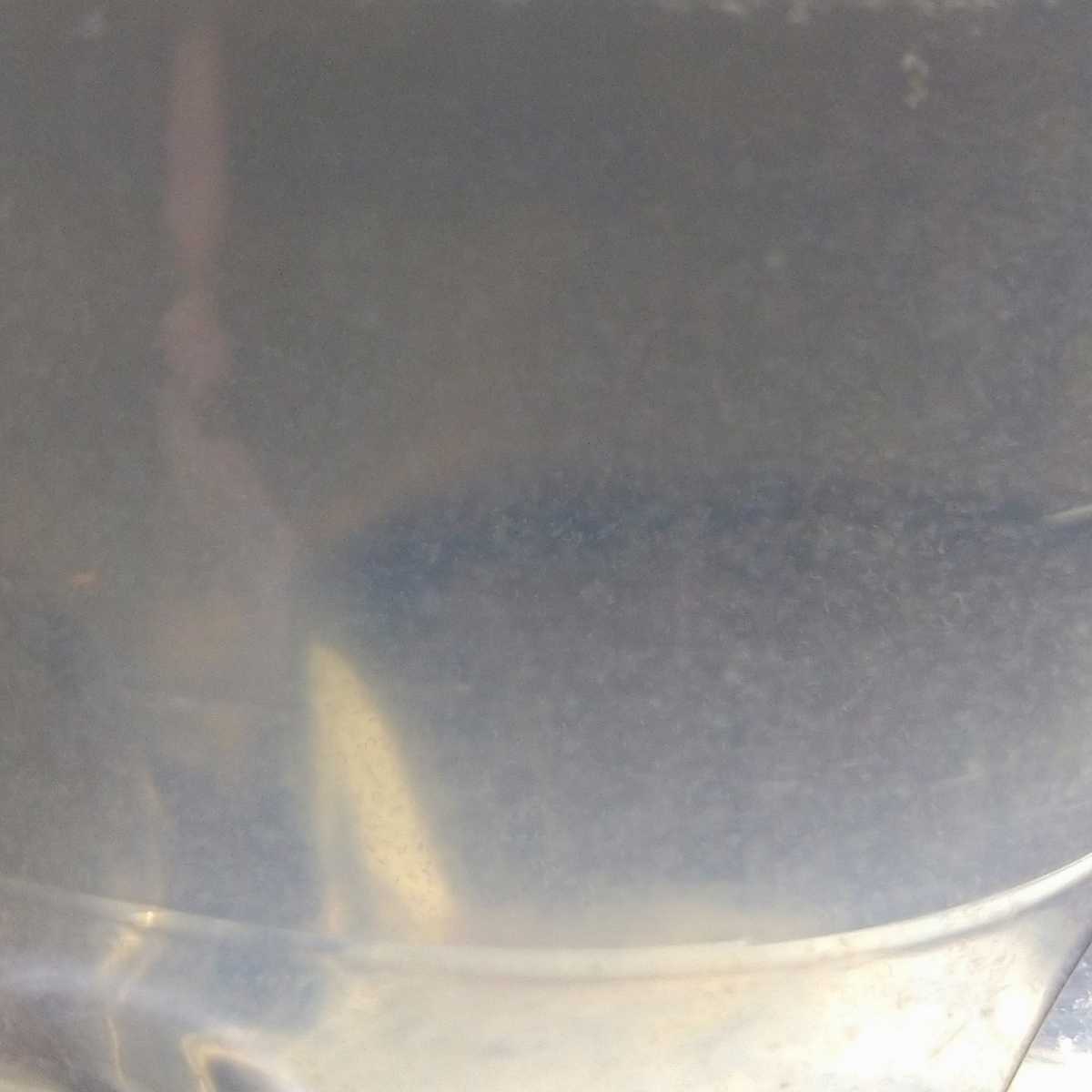 ゾウリムシ 培養set 培養方法付 ゾウリムシ種水約100mlと餌エビオス錠500mlペットボトル20本分 金魚 メダカ 熱帯魚 錦鯉 稚魚 針子 の餌 水の画像7
