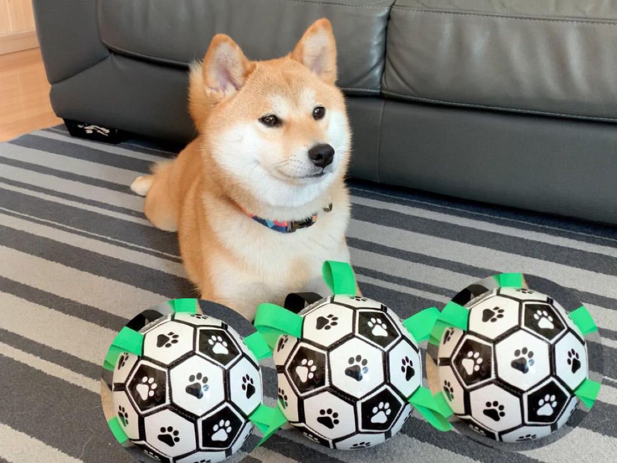 【新春SALEまとめ買い－激安】犬用おもちゃボールが3つ丈夫 長持ち ドッグトイ