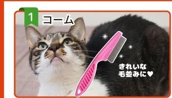 ★ Утилизация Специальная цена ★ Новый неиспользованный предмет ★ Pet Comb ★ pink ★