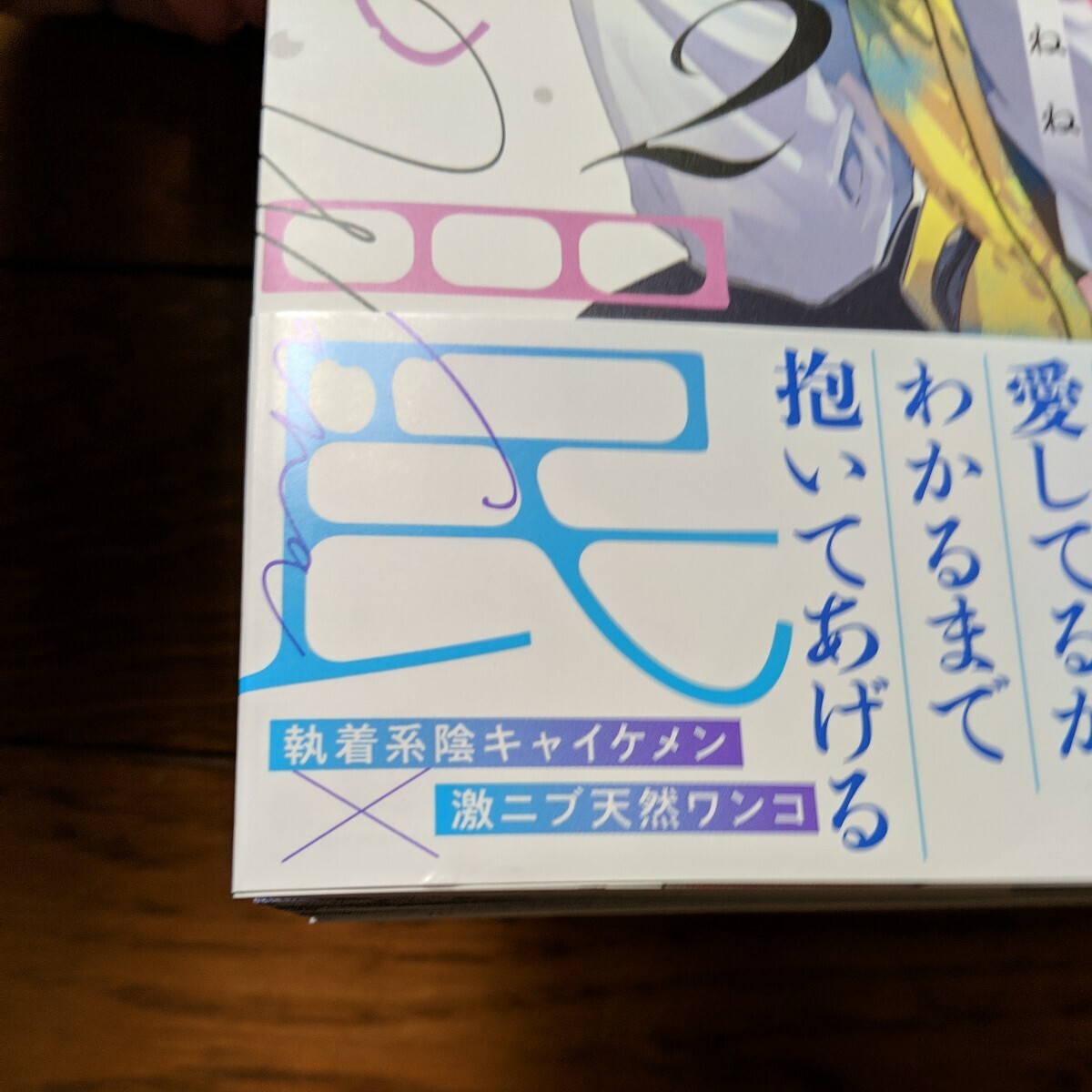 BL　午前0時の甘い罠2　鮭田ねね　小冊子　ペーパー_画像3