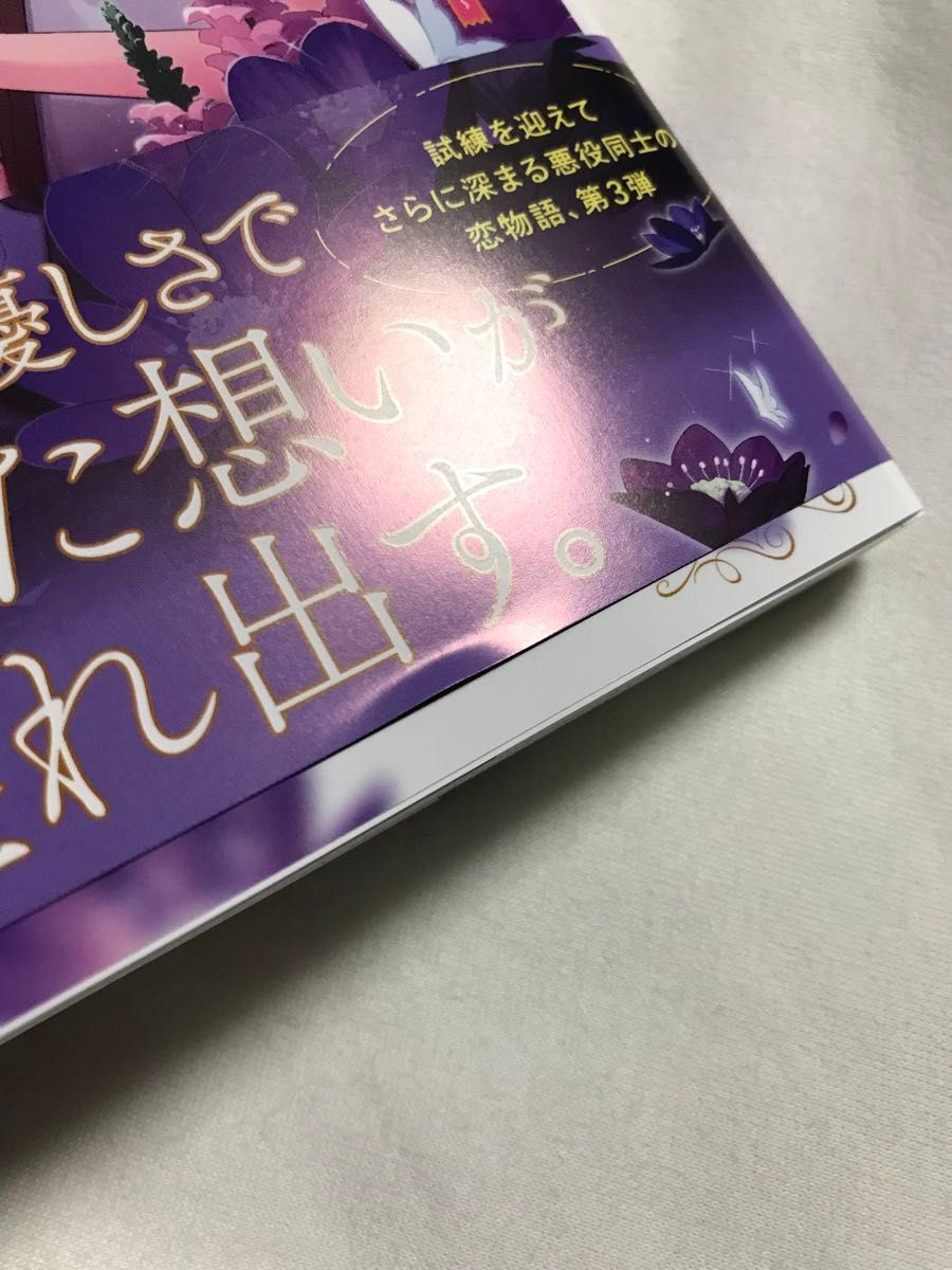 悪役令嬢と悪役令息が、出逢って恋に落ちたなら　名無しの精霊と契約して追い出された令嬢は、今日も令息と競い合っているようです2.3巻