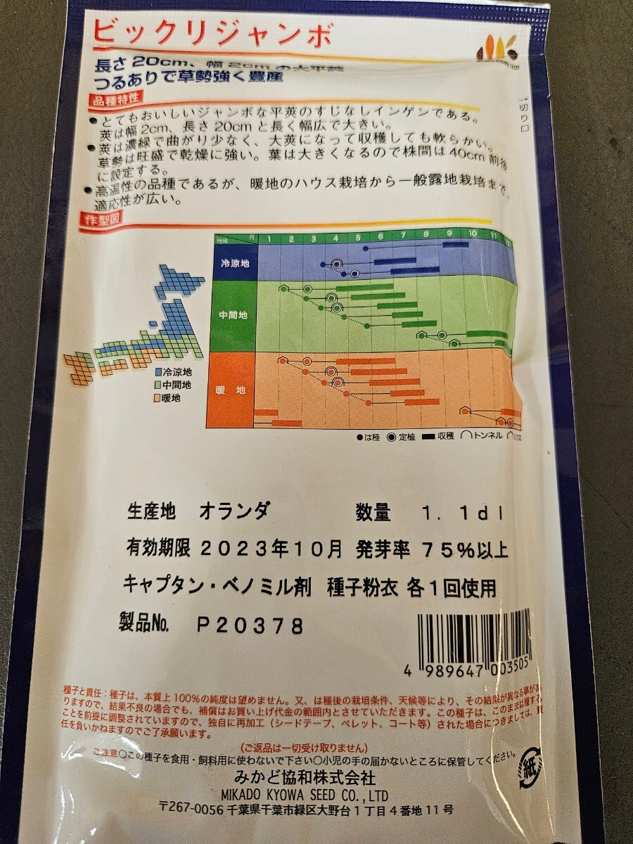 いんげん種　つるありビックリジャンボ　１.１dl ×3袋　未開封有効期限切れ_画像2