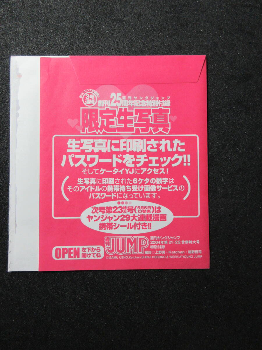 若槻千夏　生写真　グラビアアイドル　・週刊ヤングジャンプ付録　2004年　1枚_画像5