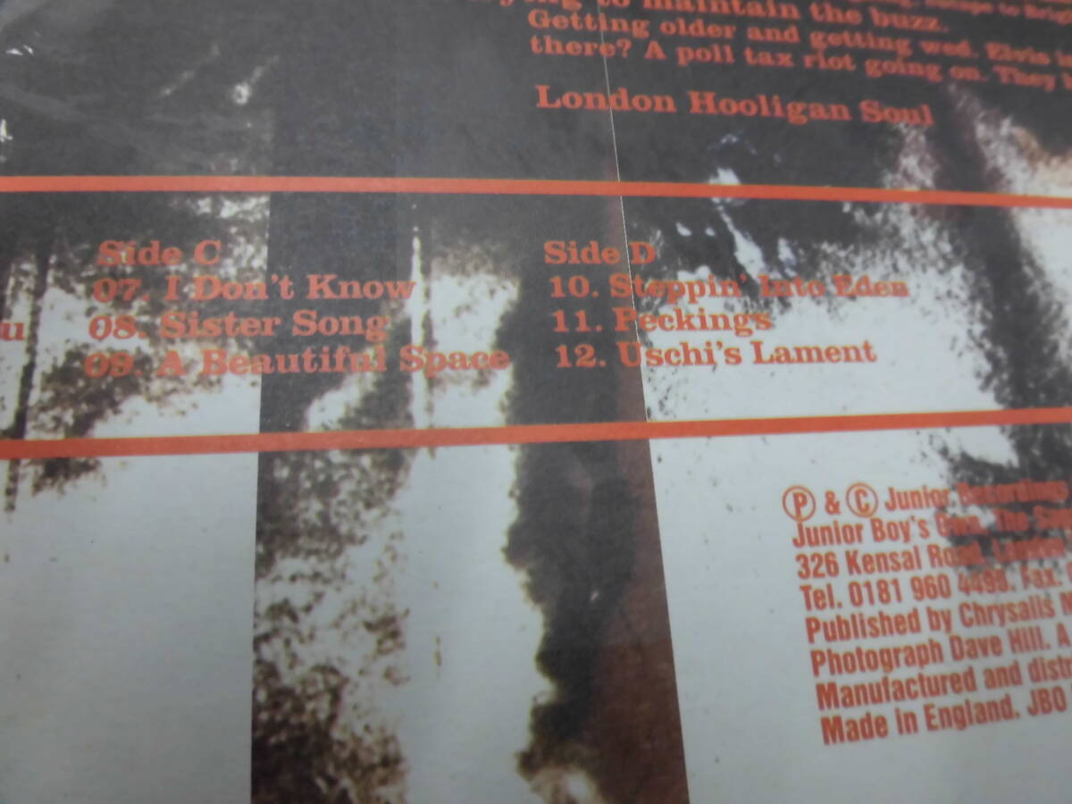 （2枚組）LP 輸入盤LP THE BALLISTIC BROTHERS/LONDON HOOLIGAN SOULの画像3