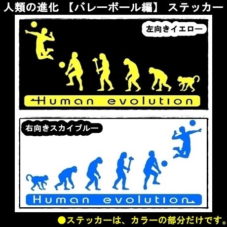 ★千円以上送料0★(15cm)人類の進化【バレーボール編】バレー好き、オリジナルステッカー、カーステッカー、車のリアガラスに最適(4)_画像4