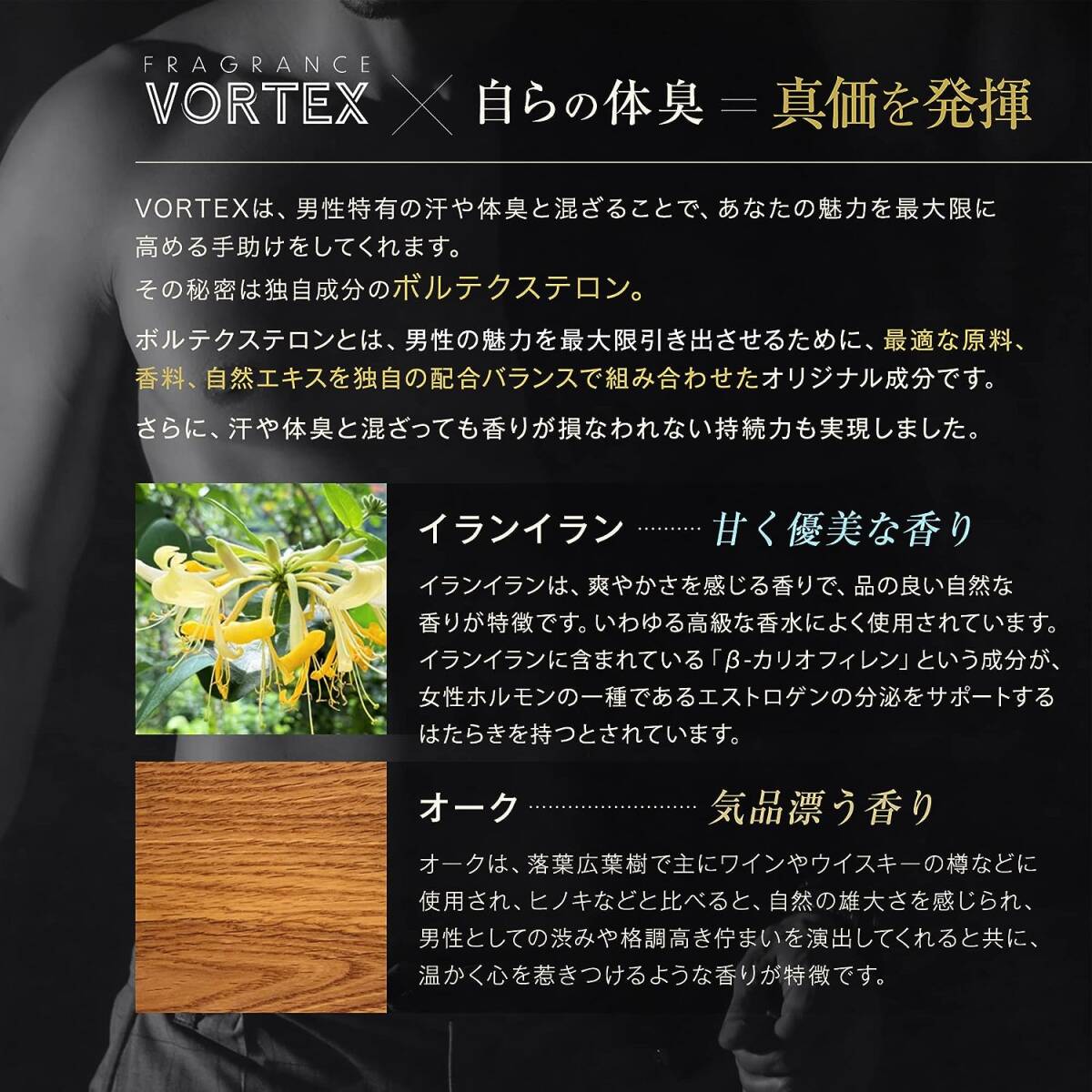 【香りのオーラ】VORTEX ボルテックス 男性用フェロモン香水 メンズ ボルテクステロン配合 フレグランスミスト100ml (イの画像5