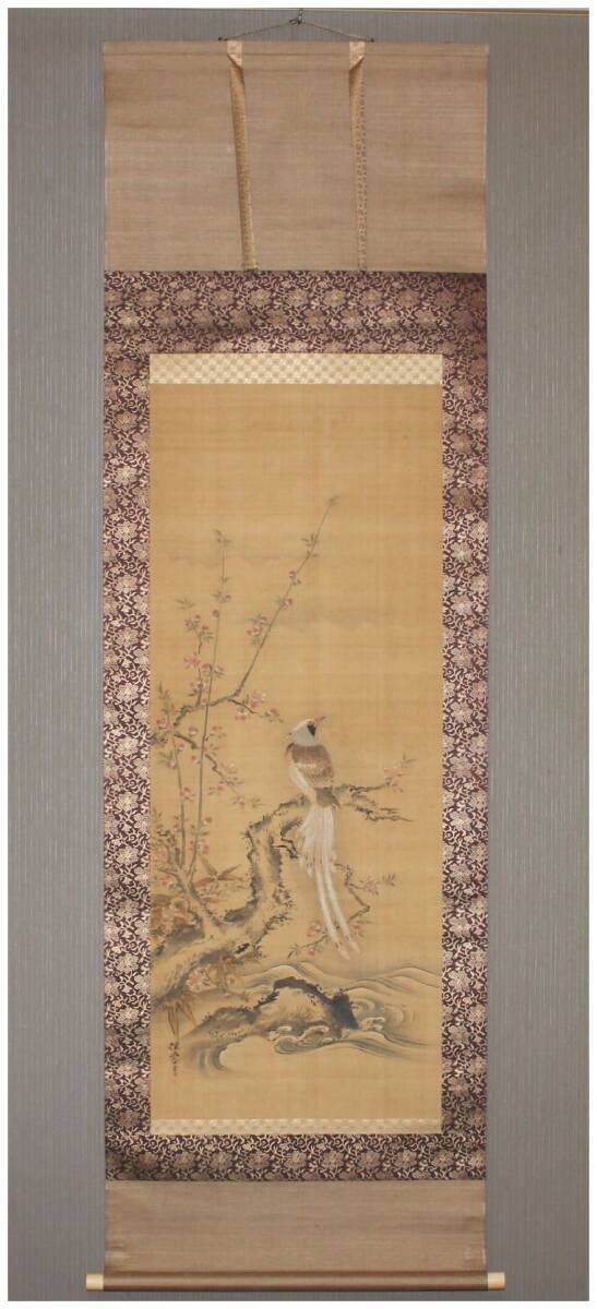 模写」 狩野派絵師・【狩野探幽】 花鳥図 掛軸 二重箱 江戸前期 模写」 狩野派絵師・【狩野探幽】 花鳥図 掛軸 二重箱 江戸前期
